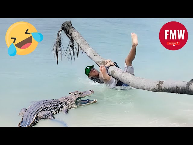 Funny & Hilarious People's Life 😂 #300 | Instant Regret Fails 2025 - Try Not To Laugh Challenge