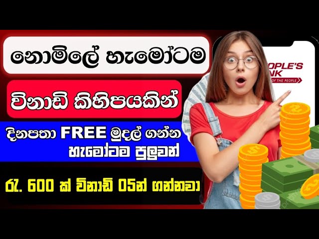 🤩 Free Package - How to Make Money Online in Sri Lanka - Earn Money Online from Home in Sri Lanka