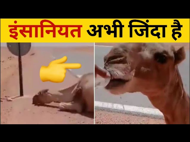 इंसानियत अभी जिंदा है 🙏| Humanity is still alive | Inspirational #shorts