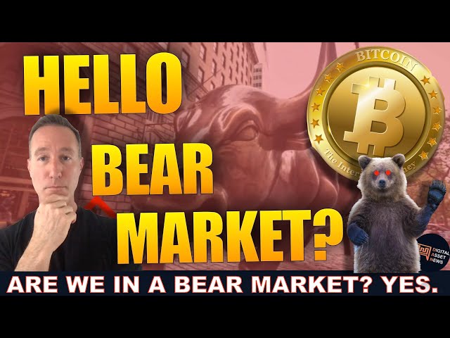 IS THE CRYPTO BEAR HERE? HOW LONG WILL IT LAST?