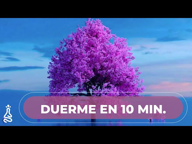 Meditación Guiada para Dormir en 10 minutos