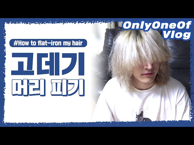 [Vlog] OnlyOneOf 멍준 #4 | 남자 머리 고데기 하는 방법 | How to flat-iron my hair