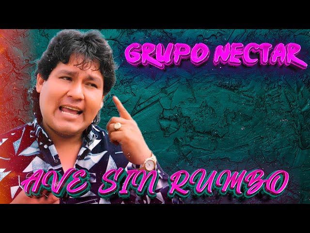 Ave sin rumbo - Grupo Néctar | En vivo