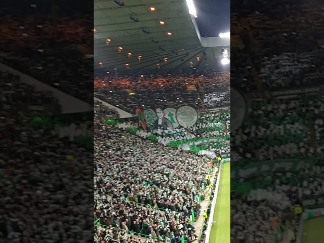 💚🤍🧡 #celticfans  singing #youllneverwalkalone at #celtic Park, paradise, on a champions league night