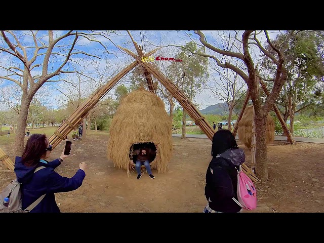 【平凡Cham】360 VR 全景 桃園龍潭 三坑自然生態公園 地景藝術 石門水庫周邊景區 欒樹 賞楓 社大課程活動簡要紀錄