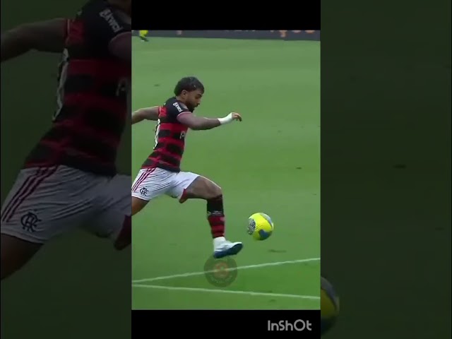 Flamengo amassa o Botafogo sem dó