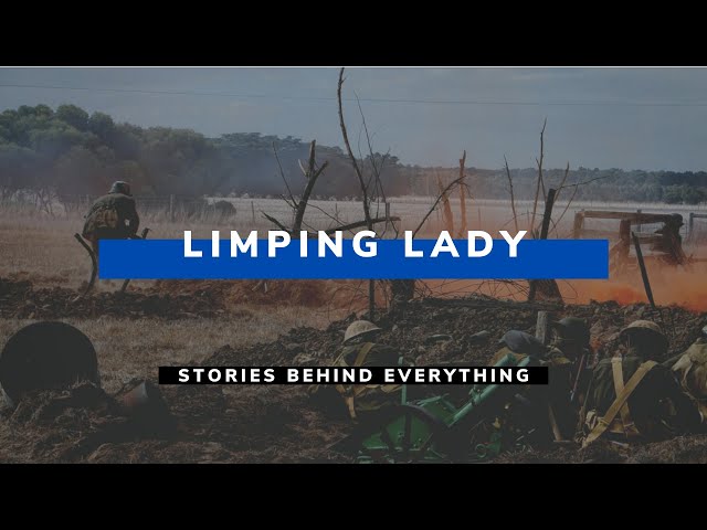 Who was Virginia Hall a.k.a the Limping Lady? | Stories Behind Everything