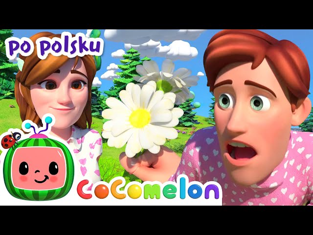 Tandem, rower dla dwojga  | CoComelon po polsku 🍉🎶 Piosenki dla dzieci