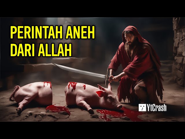 BUKAN KARNA HARAM, INI ALASAN SEBENARNYA NABI ISA MEMBUNUH BABI DI AKHIR ZAMAN