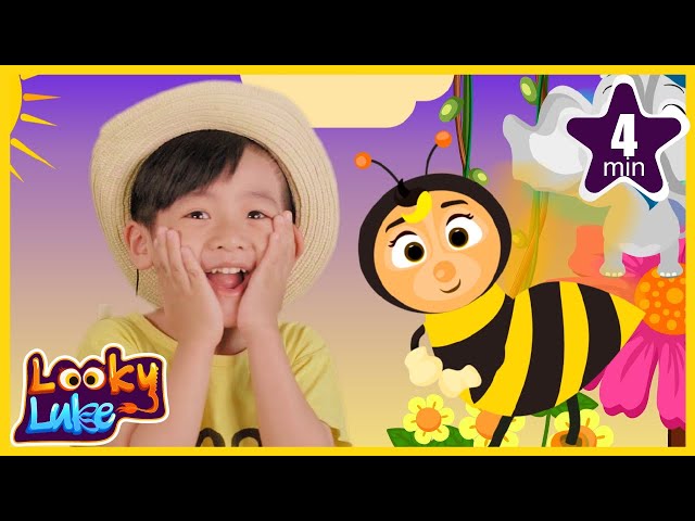 Nursery Rhymes oh bee & baby songs compilation looky luke