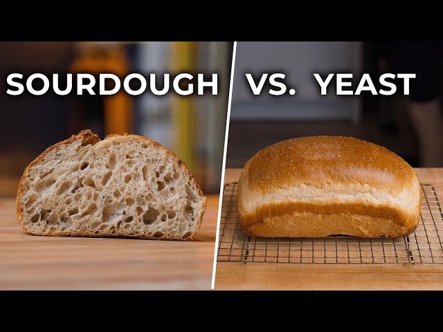 Sourdough vs. “Normal” Bread. What’s the Difference?