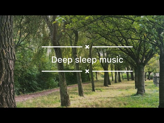 Deep sleep music 🎵 wind, rain and trees sounds