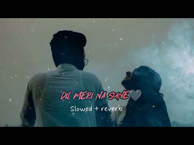 Dil meri na SUNE / slowed + reverb / Lo-fi / subscribe for more