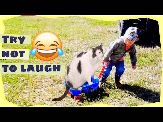 Funny Baby Adventures With Cat || Cute Baby || Funny Baby And Pet