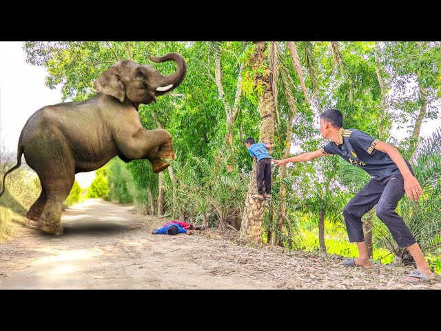 Elephant Attack On Village Boy In Forest | Elephant Attack In Indian Road | Fun Made Movie Part 32