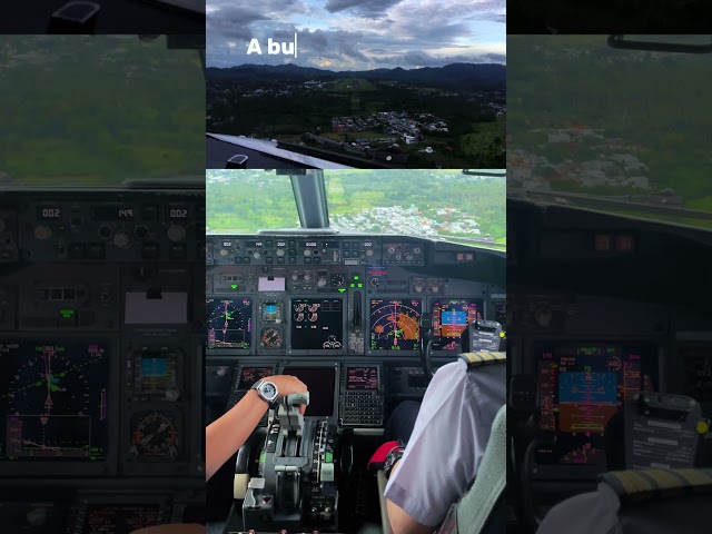 FTFD#14 #shorts #aviation #boeing #boeinglanding #boeing737  #cockpit  #flightdeck #flight #landing