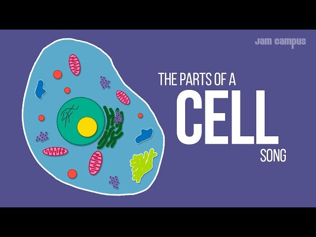 THE PARTS OF A CELL SONG | Science Music Video