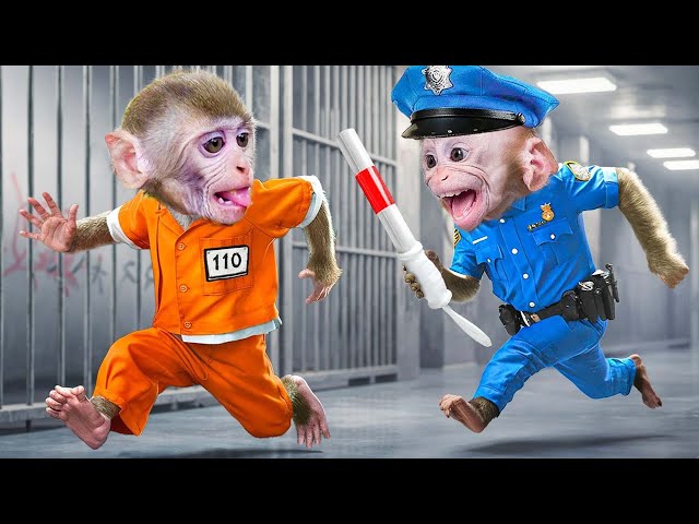 Bon Bon Monkey escape Impossible Prison Maze Challenge and Police Chase | Boss Animal HT