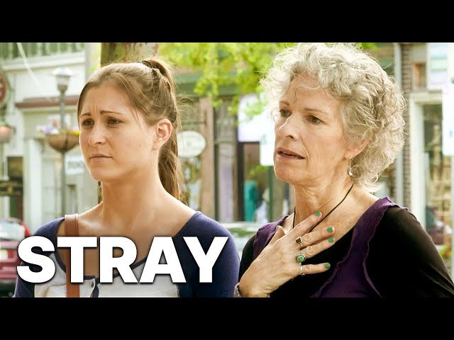 Stray | Arthouse Drama Movie