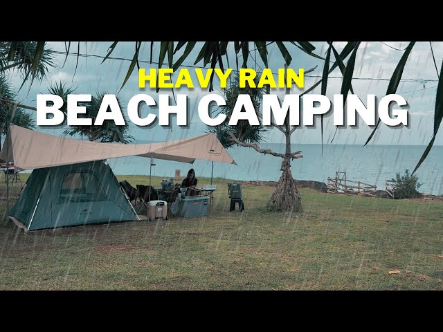 ASMR Heavy Rain Camping on a Cliff with Family | Relaxing Nature Sounds & Cozy Tent Night