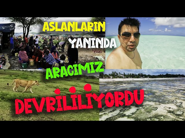 AFRİKA'DA SAFARİ! BELGESELLERDEKİ TÜM VAHŞİ HAYVANLARI GÖRDÜK! ASLANLARIN YANINDA ARACIMIZ DEVRİLDİ!