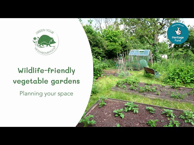 Wildlife Friendly Vegetable Gardens | Ep1: Planning your Space