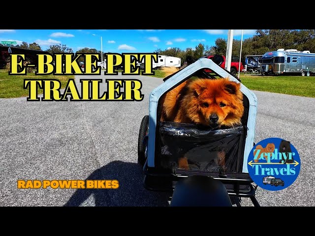 Zephyr & Monty Get a New Ride - Rad Power Bikes E-Bike Trailer and Pet Insert | RV Travel