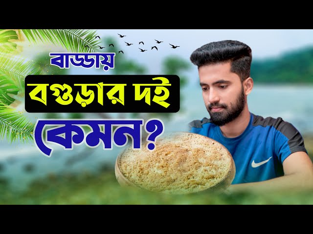 ঢাকায় বগুড়ার দই এর দাম কত ? খাইতে কেমন ? কোথায় পাওয়া যায় ?  #Bogurar_Doi