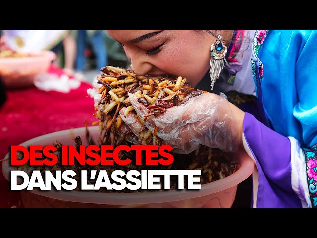 Eating insects, a solution to fight world hunger - Full documentary - AMP