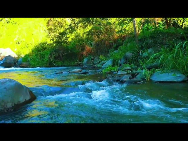 Relaxing River Sound calming the soul, for sleeping, stress relief, for studying, for yoga