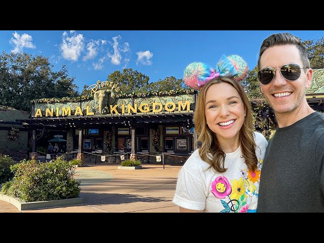 Our Channel Goals for 2023 and Disney's Animal Kingdom!