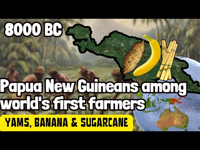 Kuk Swamp: Early Agriculture in Papua New Guinea