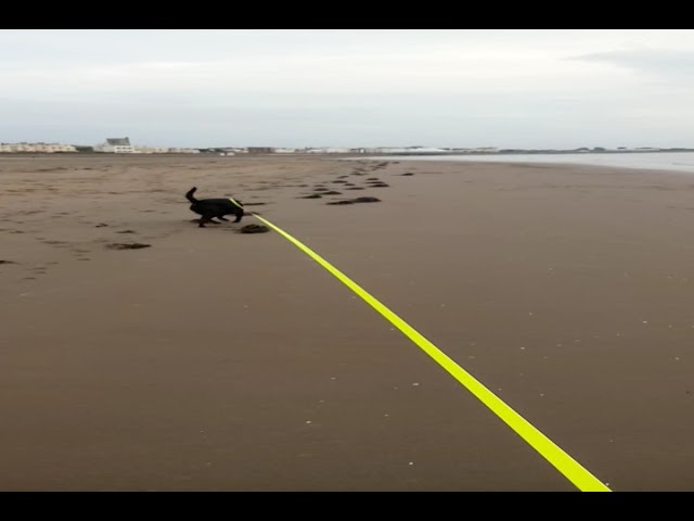 leia on the beach