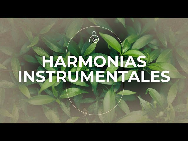 🌿Harmonías Instrumentales / Libera El Estrés Y la Ansiedad 🌿