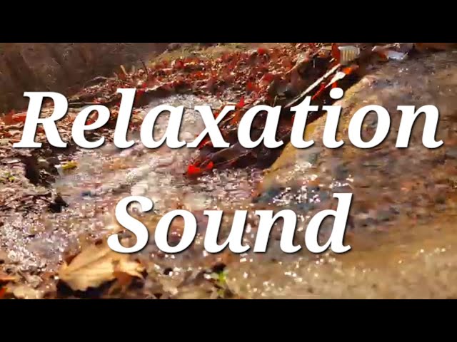 Running Water Soft Relaxation Sounds White Noise for Sleep, Studying, Focus | 15Min