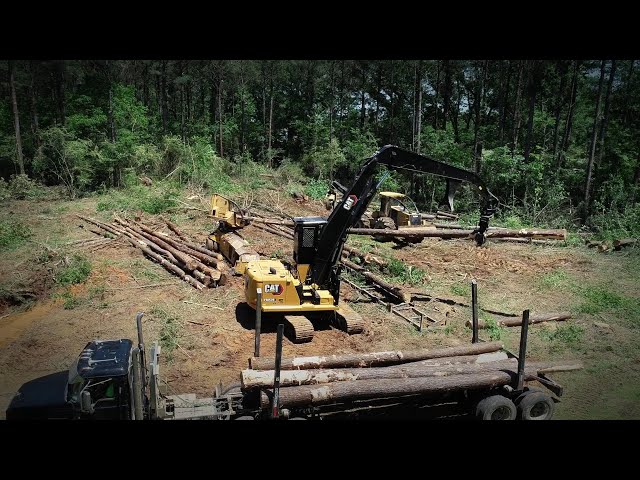 Operator Grady Embry’s Take on the New Cat® FM528 Forest Machine