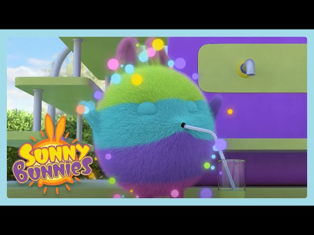 Rainbow Drink! | Sunny Bunnies | Wildbrain Wonder