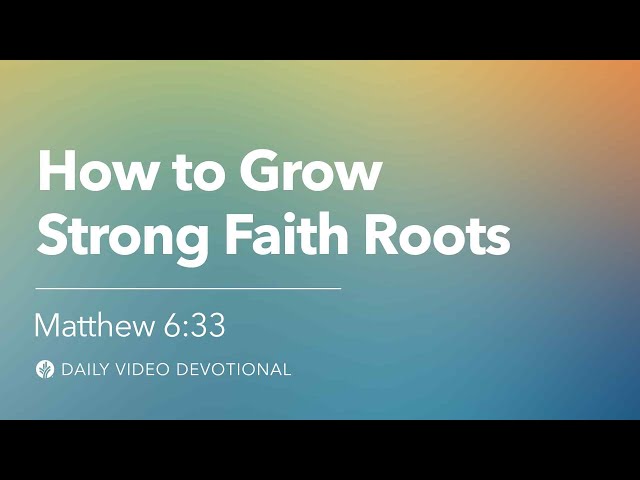 How to Grow Strong Faith Roots | Matthew 6:33 | Our Daily Bread Video Devotional