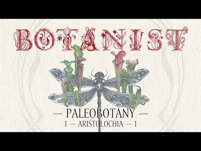 Botanist - Paleobotany [Official Album Player]