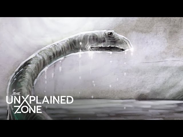 Eyewitness Captures the Loch Ness Monster | The UnXplained | The UnXplained Zone