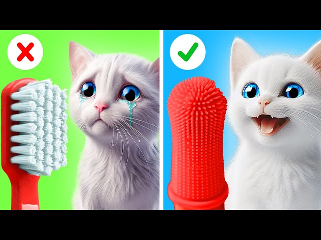 Smart Hacks For Crafty Pets 🪥🙀Cool Crafts and Gadgets For Cat Lovers by 123 GO!