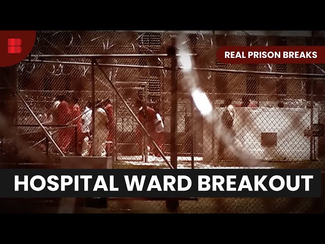 Badness Escapes St Vincent's Guarded Ward | Real Prison Breaks | Crime Documentary