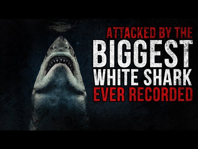 MASSIVE Shark ATTACKS Near Monterey - The True Story Of Lewis Boren