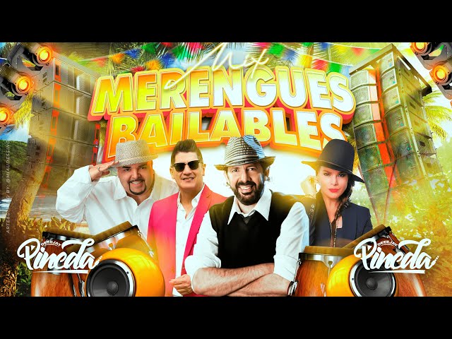 MIX MERENGUES BAILABLES (EDDY HERRERA,OLGA TAÑON,FULANITO,HNOS ROSARIO,JUAN LUIS GUERRA)​⁠ Dj Pineda