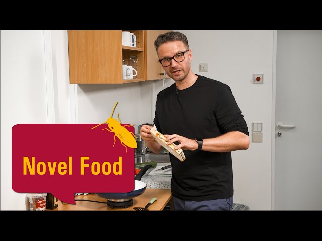 Insekten auf dem Teller: Was halten wir von Novel Food? (Fast Forward Science 2019)