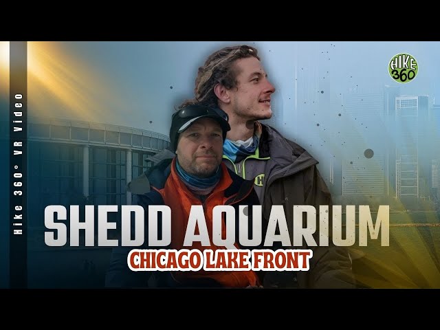 Chicago Lake Front - Shedd Aquarium (Hike 360° VR Video)