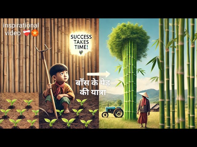 बाँस के पेड़ की यात्रा || moral story|| inspirational video 💐❤️‍🩹🏵️