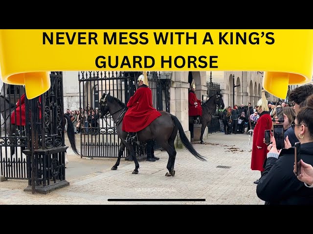 NEVER MESS WITH THE KING’S GUARD HORSE