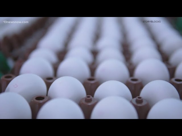 Egg prices are on the rise in Hampton Roads due to the bird flu