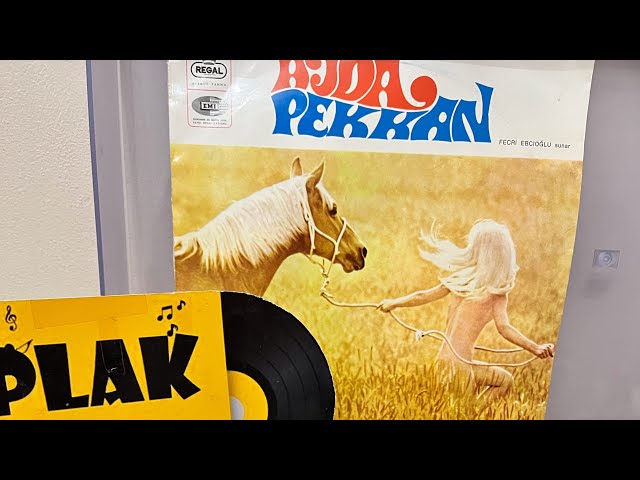 Ajda Pekkan-Yaşamak Ne Güzel Şey (plak kaydı)